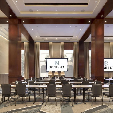 Stain Resistant Reception Anti-static Hotel Carpet