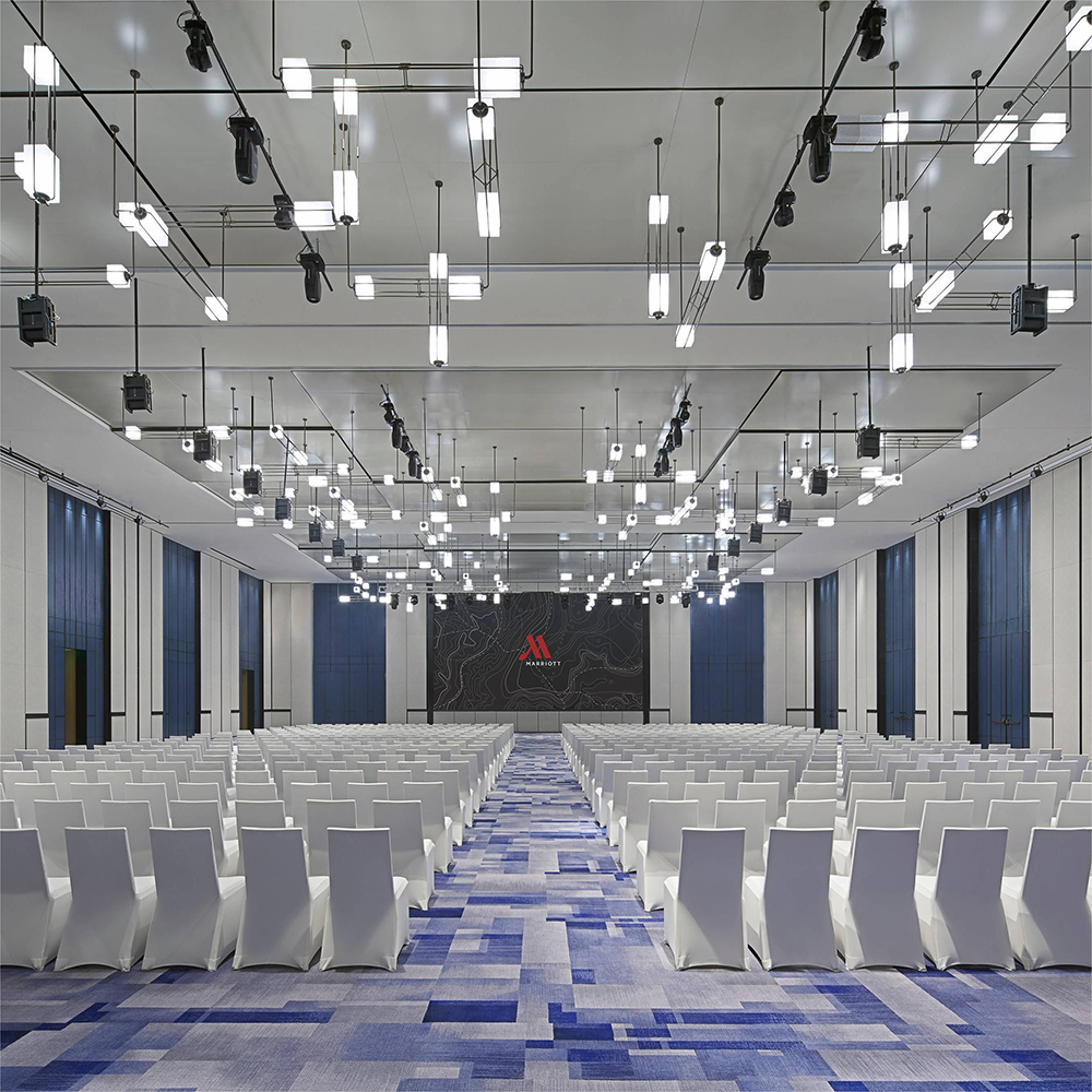 Stain Resistant Reception Anti-static Hotel Carpet