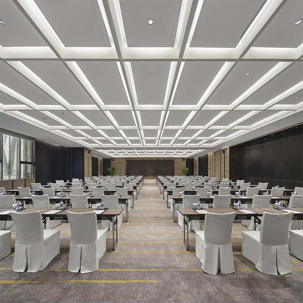 Stain Resistant Reception Anti-static Hotel Carpet